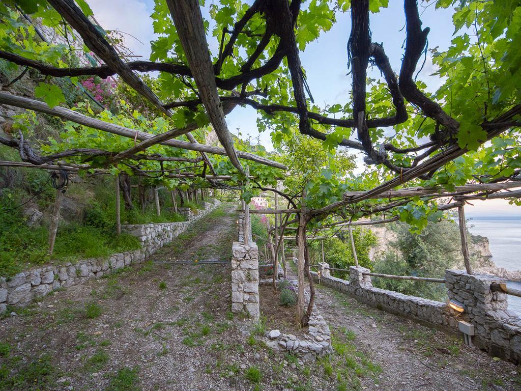 Cannaverde - Amalfi Coast Camp Villa Maiori Dış mekan fotoğraf